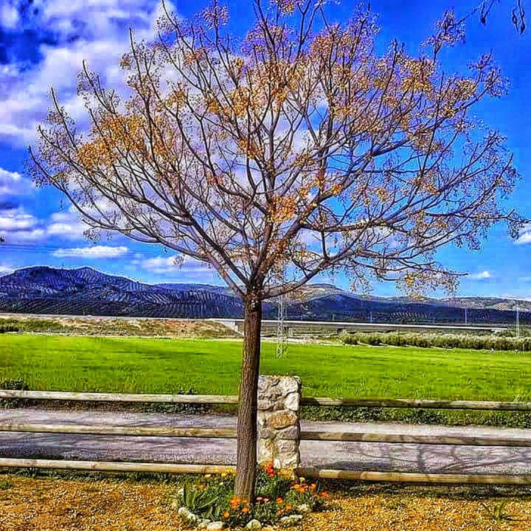 Alojamiento Rural El Cortijuelo Hotel Illora Kültér fotó